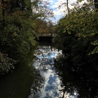 Peaceful - Single - Jamie Murrell