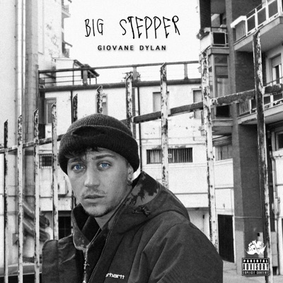 BIG STEPPER