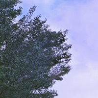 Calm - Single - Br!ano