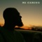 Mi Camino artwork