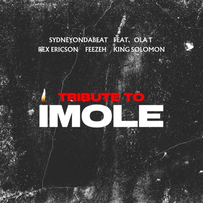 Tribute to Imole (feat. King Solomon, OlaT, Feezeh & Rex Ericson) - Single