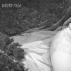 White Rose (feat. Anemoi) - Single