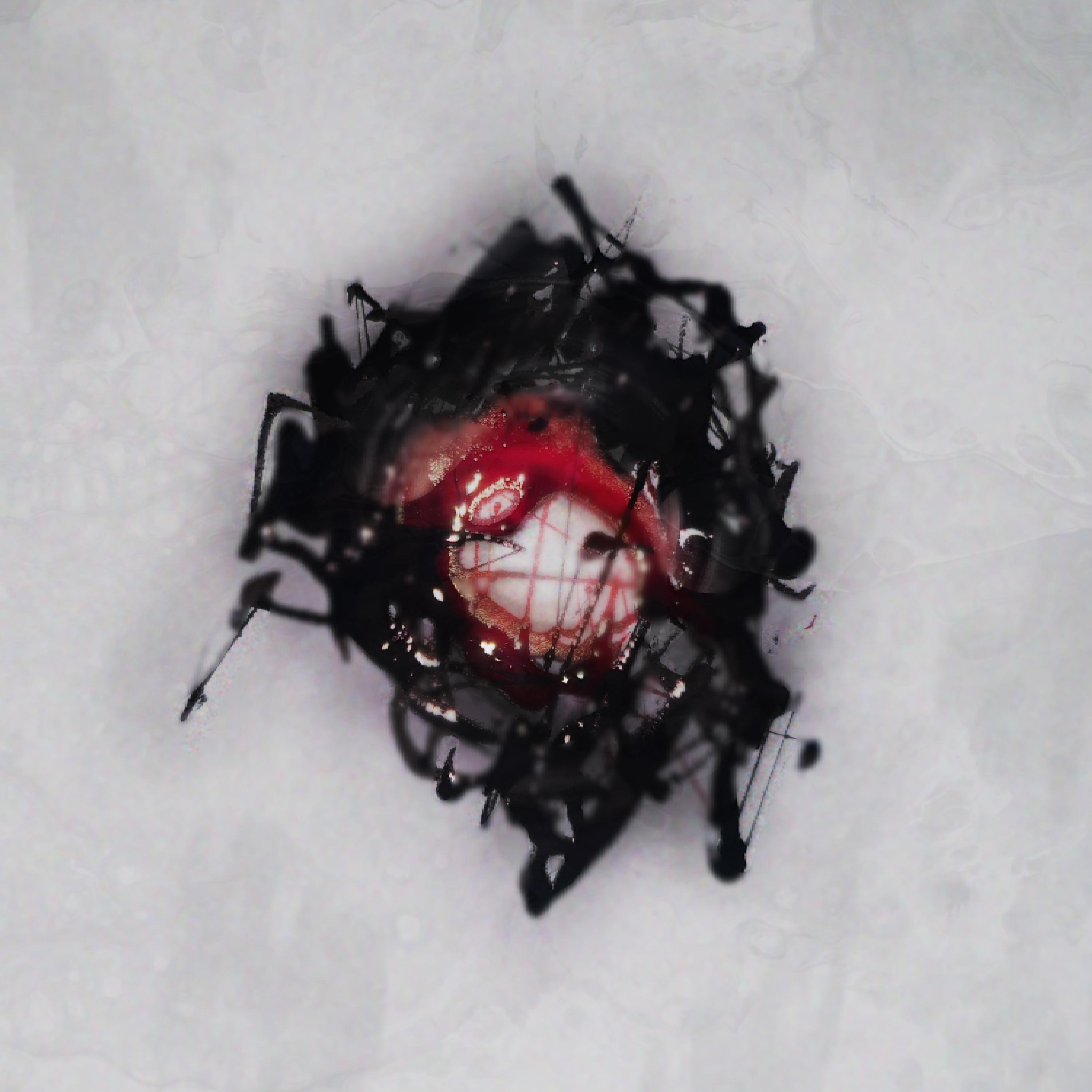 Reborn