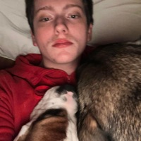 Mp3motions - Single - st0n3