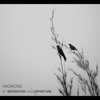 Of Separation and Departure