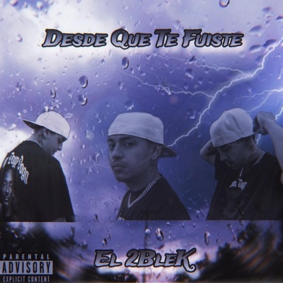 Desde Que Te fuistes - Single