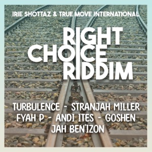 Rub a Dub Party (feat. Irie Shottaz & True Move International)