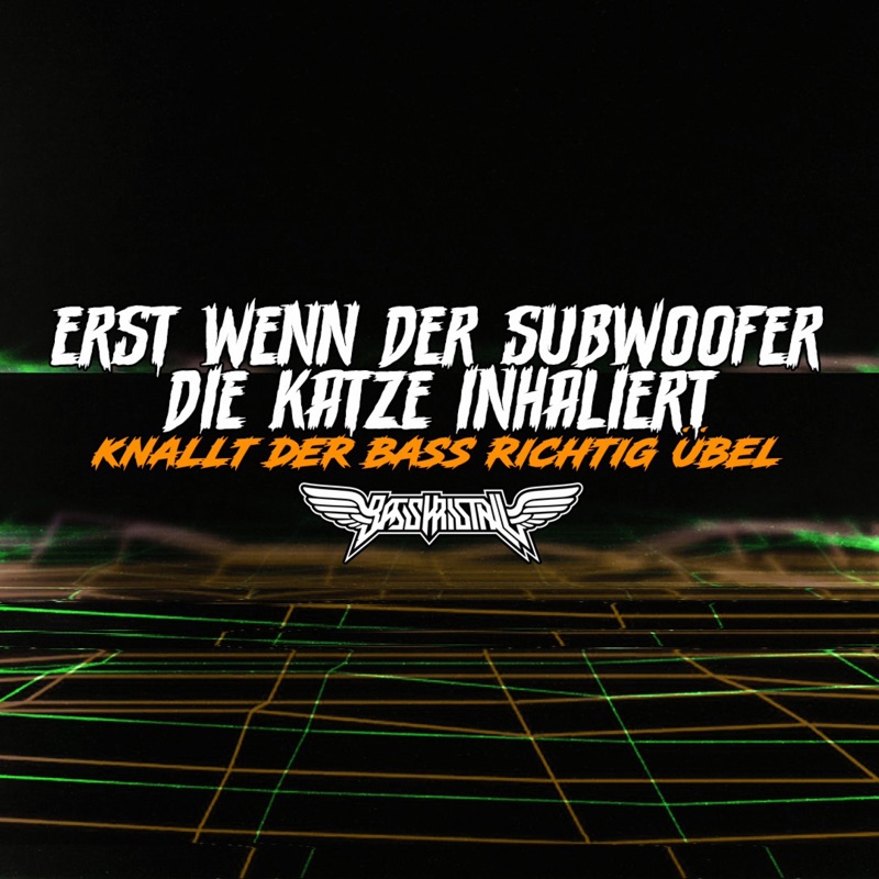 Erst Wenn Der Subwoofer Die Katze Inhaliert Erst wenn der Subwoofer die Katze inhaliert, Knallt der Bass richtig