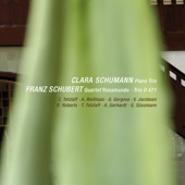 C. Schumann: Piano Trio in G Minor, Op. 17 / Schubert: String Quartet No. 13 in A Minor, D. 804 "Rosamunde"; String Trio No. 1 in B-Flat Major, D. 471 (Live) artwork