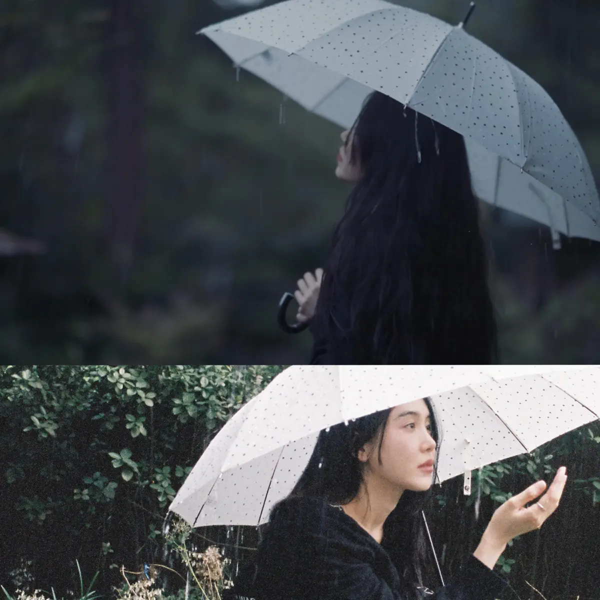 ROCOBERRY - Rain - Single (2023) [iTunes Plus AAC M4A]-新房子