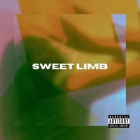That's Valid. - Single - Sweet Limb