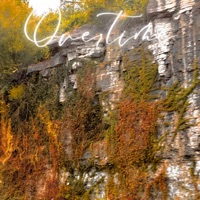 Overtime (feat. Jolst) - Single - Pu1s3