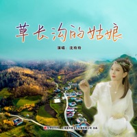 草长沟的姑娘 - Single - 沈玲玲