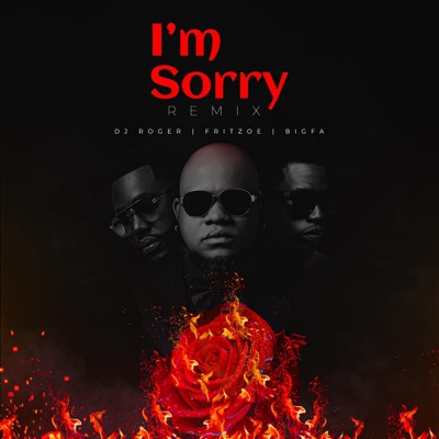 I'm Sorry (feat. BigFa & Fritzoe) [Remix] - Single