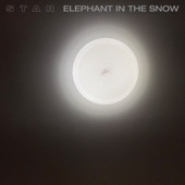 star - The History of Elephants