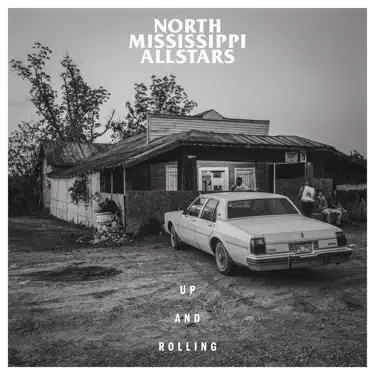 North Mississippi Allstars — Going Down South: тексты песен, клипы
