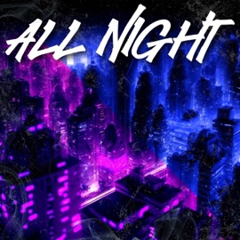 ALL NIGHT (feat. Choupo & Videk) [Extended Version] PASH