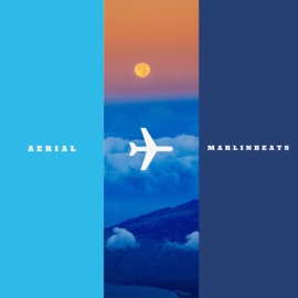 Aerial MarlinBeats