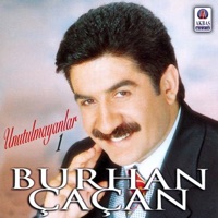 Diledim seni