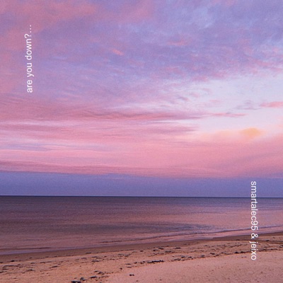 are you down? (feat. SmartAlec95) - Single