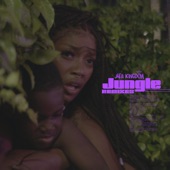Jungle (Instrumental) artwork