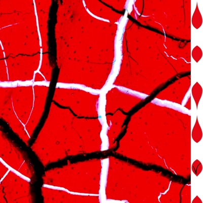 The Last of Us 27 (feat. V SAINTANIC)