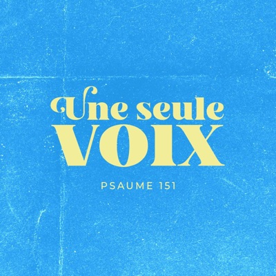 Une seule voix (feat. Sabrina Alexandre & Daniel Calange) [Radio Edit] - Single