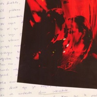 Alivio intermitente - Single - Bernal