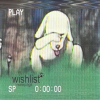 wishlist (feat. Weepings) - Single - babyKanine
