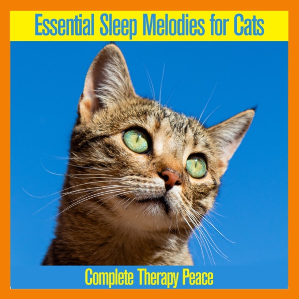 Essential Sleep Melodies for Cats: Complete Therapy Peace