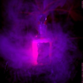 Amortentia (feat. ZECCA) Aray