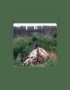 Ακούστε περιεχόμενο από Chad Serhal, παρακολουθήστε μουσικά βίντεο, διαβάστε το βιογραφικό, δείτε ημερομηνίες περιοδείας, και πολλά ακόμη!