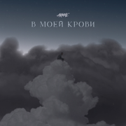 В моей крови - Akmal'