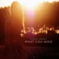 What You Need