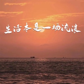 生活本是一场流浪 胡子老孩儿