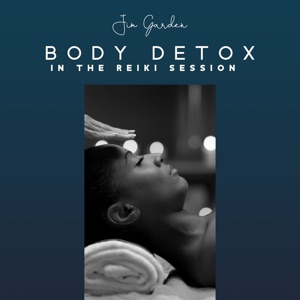 Body Detox in the Reiki Session