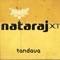 Ravi B - Nataraj XT lyrics