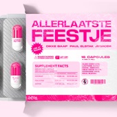 ALLERLAATSTE FEESTJE artwork