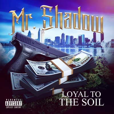 Loyal to the Soil - Single