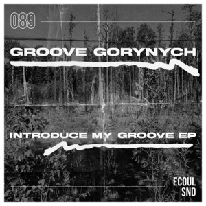 Introduce My Groove - Single