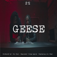 Geese (feat. Avi T**t) - Single - Lord Francis