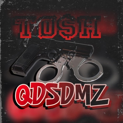 QDSDMZ - Single