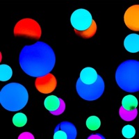 Level 4 - Single - West Coast Massive