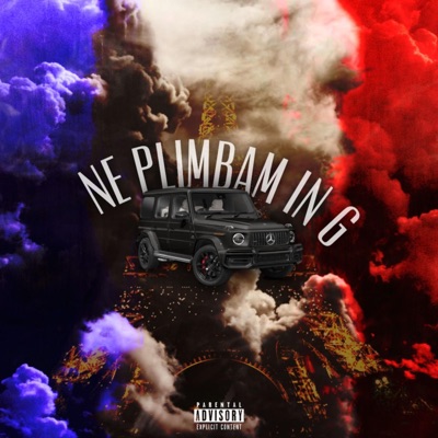 Ne plimbam in G - Single