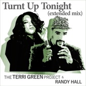 Turnt Up Tonight (Extended Mix) artwork