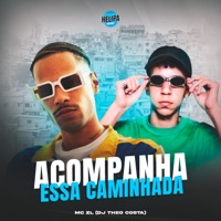 Acompanha Essa Caminhada - Single - Mc ZL & DJ Theo Costa