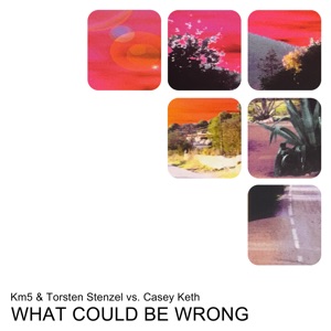 What Could Be Wrong - EP