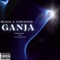 Ganja (feat. Chrishon & Musik) - DJ TalkSick lyrics