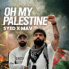 Oh My Palestine (feat. MAV) - Syed Jawad