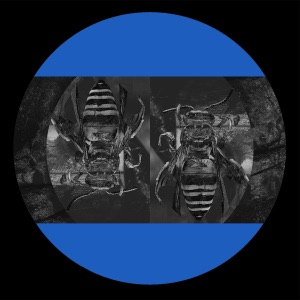 FormaFantasma - EP